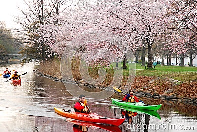 Spring Kayaking in Boston`s Esplanade Editorial Stock Photo
