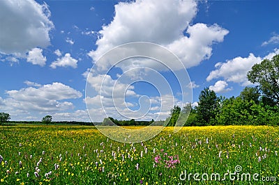 Spring Landscape Stock Photo