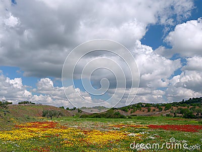 Spring landscape Stock Photo