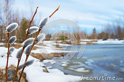 Spring Landscape Stock Photo