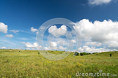 Spring landscape with blue sky and green lawn Stock Photo