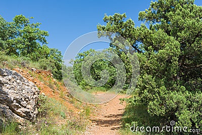 Spring landscape in Cape Martyan natural reserve, Crimea Stock Photo