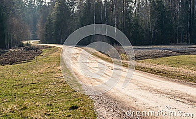 Spring landscape. Dirt road leading to the forest Stock Photo