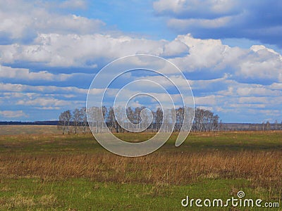 Spring landscape in the field with birches and clouds. Stock Photo