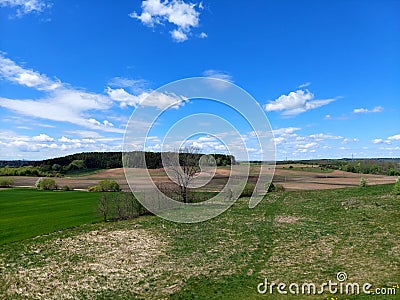 Spring landscape with flowers meadow in the sunlight Stock Photo