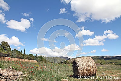 Spring landscape, Gudar mountains, Teruel, Spa Stock Photo