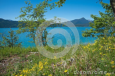 spring landscape lake Walchensee, upper bavaria Stock Photo