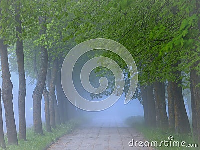 Spring landscape. Misty morning in Lithuania. Stock Photo