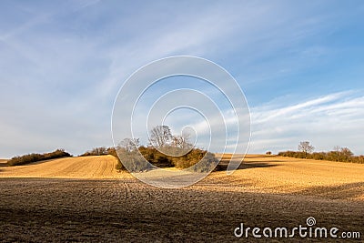 Spring landscape with pasture, trees and blue sky Stock Photo