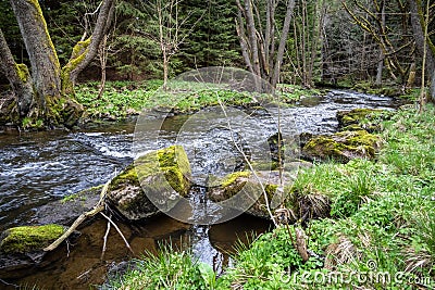 Spring landscape with stony river and forest Stock Photo