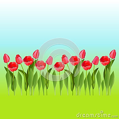 Spring landscape with tulip flowers. Vector Illustration