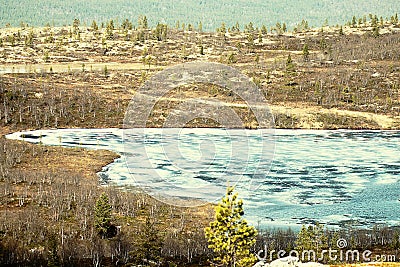 Spring in Lapland lake-forest land, birch elfin Stock Photo