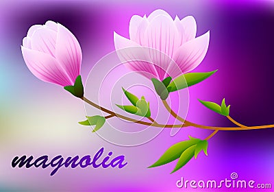 Spring magnolia background with blossom brunch of pink flowers. Vector Vector Illustration