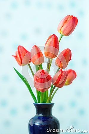 Spring. May. Tulips. Stock Photo