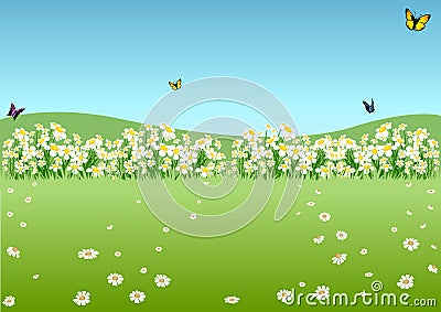 Spring Meadow Vector Illustration