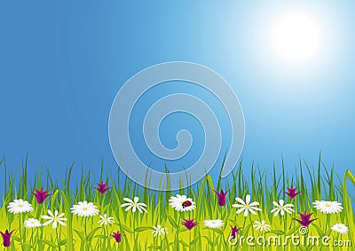 Spring meadow with flowers Vector Illustration