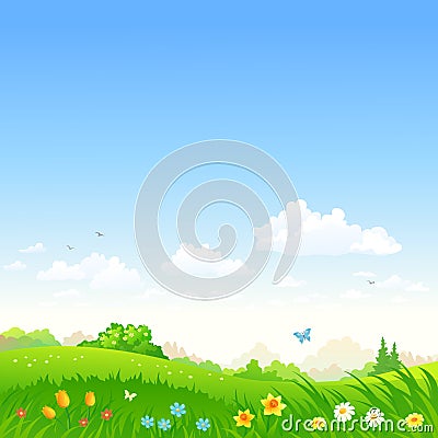 Spring meadow Vector Illustration