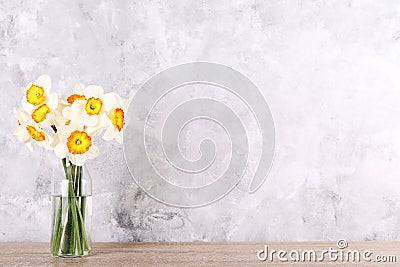 Spring mood conceptual image. Seasonal flowers on bright background Stock Photo