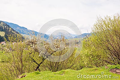 Spring mountain landscape Stock Photo