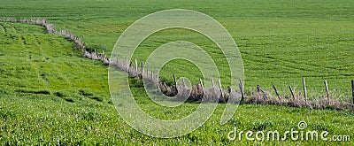 Spring mountain landscape fence on a green meadow Stock Photo