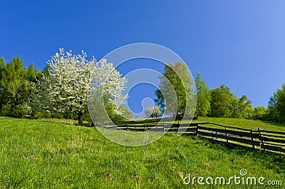 Spring in the mountains Stock Photo