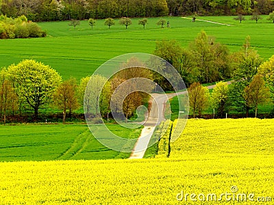 Spring and natur Stock Photo