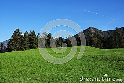 Spring nature Stock Photo