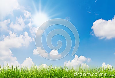 Spring nature background with grass and blue sky Stock Photo