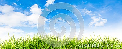 Spring nature background with grass and blue sky Stock Photo