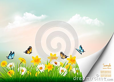 Spring nature background with grass and flowers and copy spase. Vector Illustration