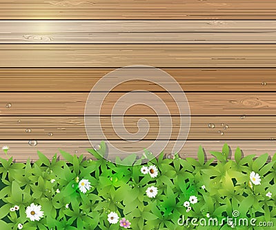 Spring nature background. Green grass and leaf plant, White Gerbera, Daisy flowers and sunlight over wood fence Vector Illustration