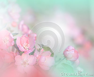 Spring nature blossom web banner or header.Abstract macro photo.Artistic Background.Fantasy design.Colorful Wallpaper.Nature. Cartoon Illustration