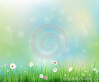 Spring nature field with green grass, white Gerbera- Daisy flowers at meadow and water drops dew on green leaves Cartoon Illustration