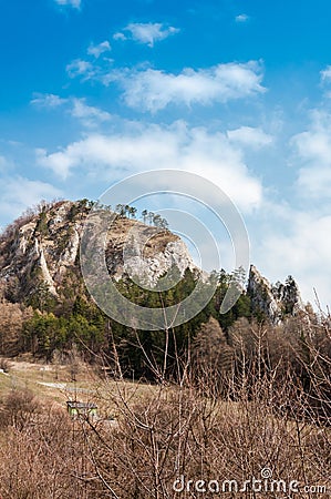 Spring nature in rocky forest of Vrsatec castle of Slovakia Stock Photo