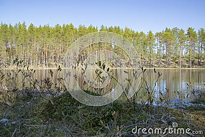 Spring, nature, spring forest, fields, lakes and rivers. Stock Photo