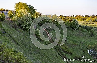 Spring. Nature wakes up. Stock Photo