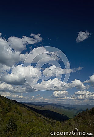 Spring from Newfound Gap Rd, Great Smoky Mtns NP Stock Photo