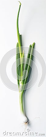 Spring onion Stock Photo