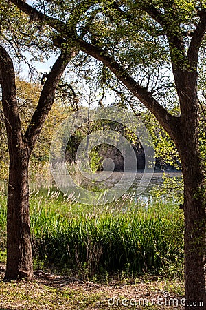 Spring in the park with pond Stock Photo