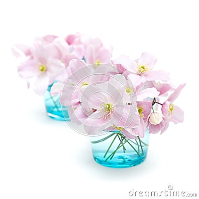 Spring pastel Stock Photo