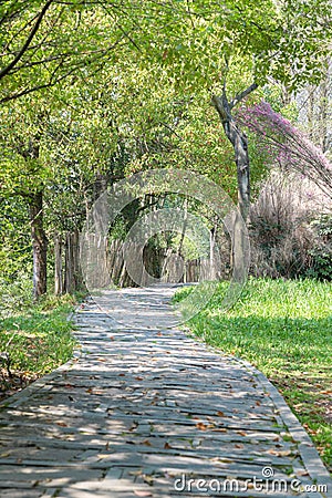 spring path in the park Stock Photo