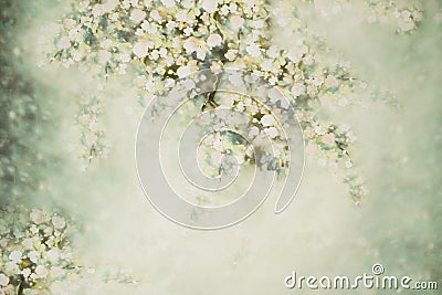 Spring photo background with flowers Stock Photo