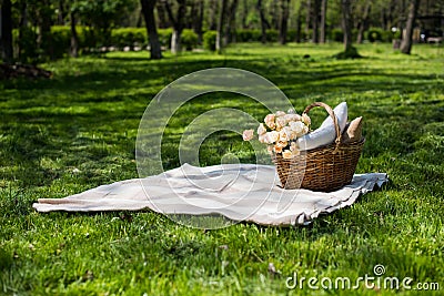 Spring picnic in a park Stock Photo