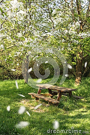 Spring picnic table Stock Photo