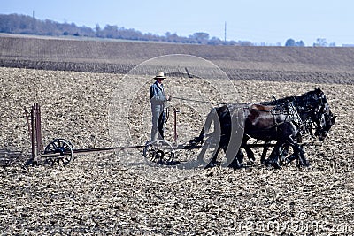 Amish Farmer Editorial Stock Photo