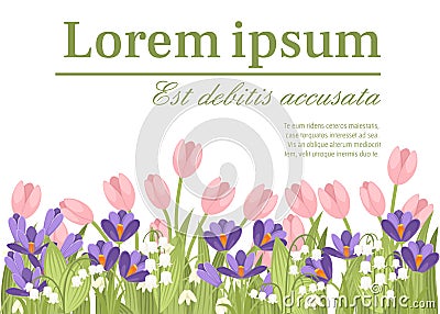 Spring pink Tulip, purple Crocus and white Convallaria majalis. Green flower pattern, grass. Concept for greetings card or Cartoon Illustration