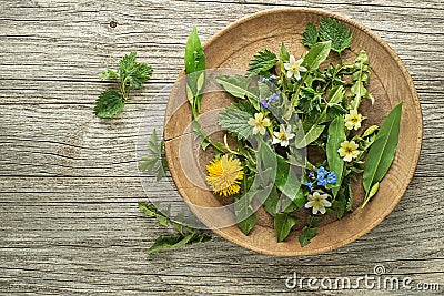 Spring plants for healthy food and drink Stock Photo