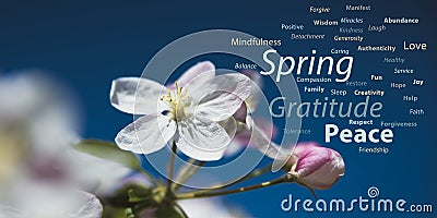 Spring positive words Stock Photo