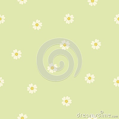 Spring Primula. Primrose. Primula vulgaris. Vector Illustration