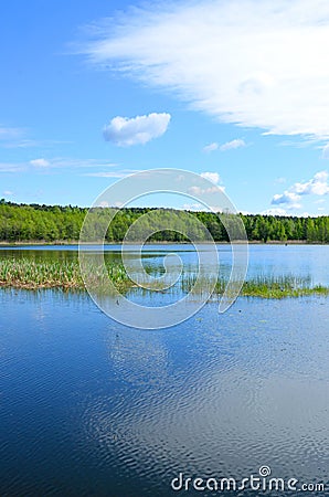 Spring quiet pond and cloud Stock Photo